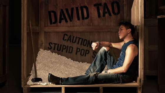 林佚／陶喆“Stupid Pop Song”里的“Stupid”指什么？