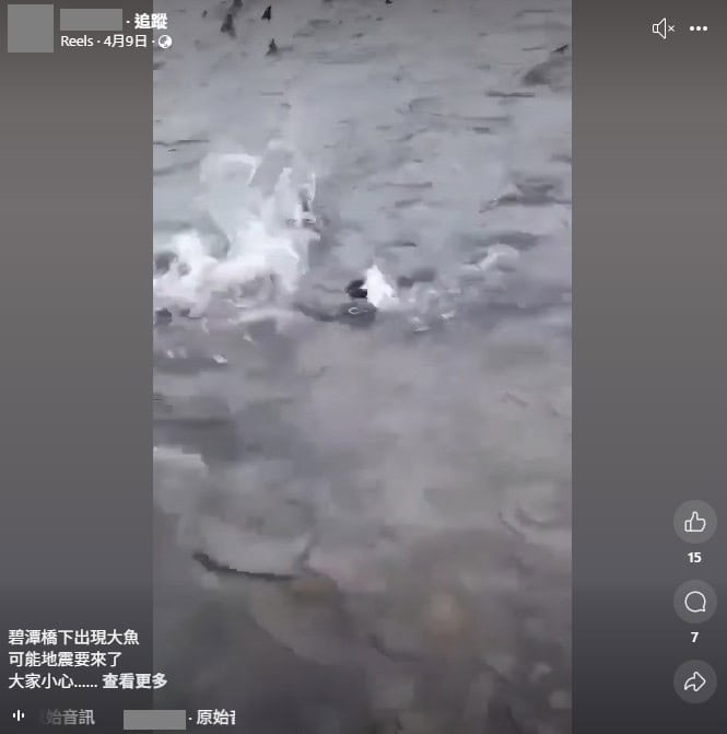 求真(全国版)“碧潭桥下出现大鱼可能地震要来了”?证实为这是鱼群洄游产卵的正常现象与地震无关