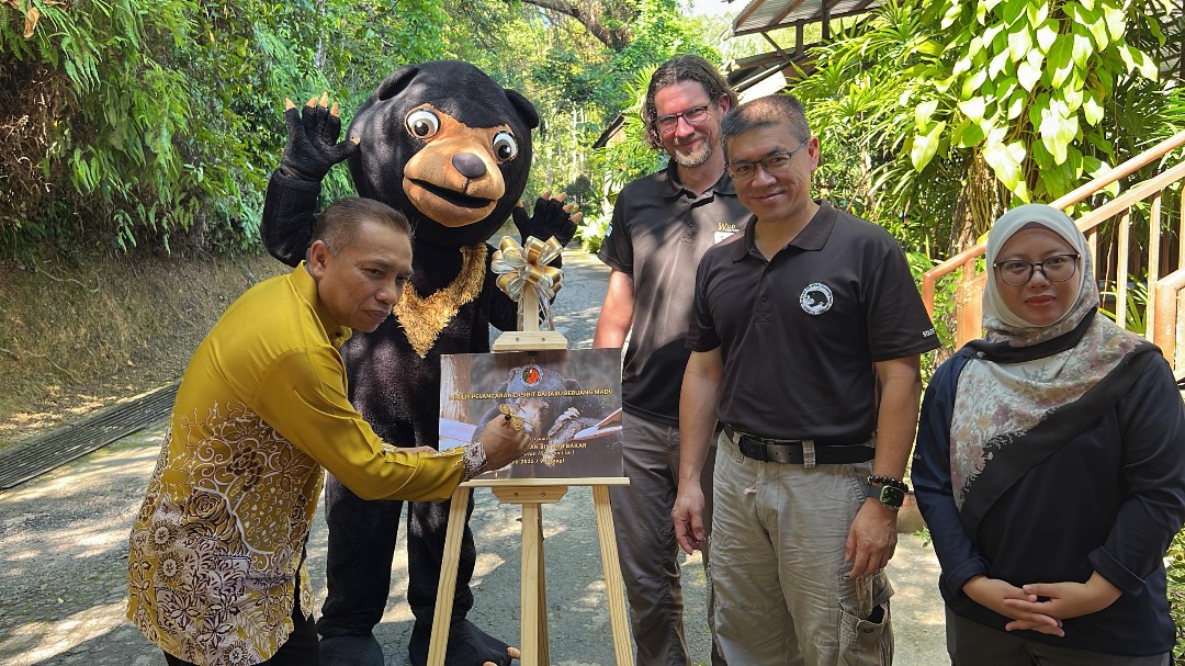 洛交宜动物园迎旅游年 推介新升级马来熊展区