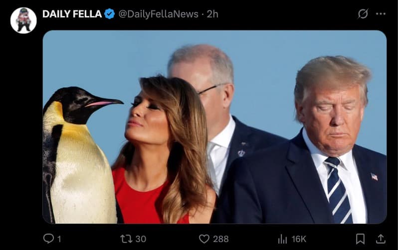 特朗普关税组合拳击中偏远无人岛 催生多款企鹅迷因