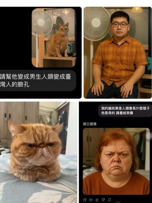 猫咪“拟人化”AI照翻车? 网民崩溃:主子变妖怪了!