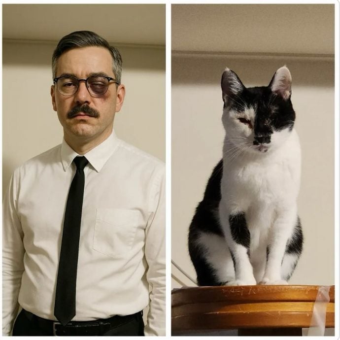 猫咪“拟人化”AI照翻车? 网民崩溃:主子变妖怪了!