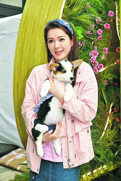 苟芸慧承认正在办离婚 网民关注财产分配