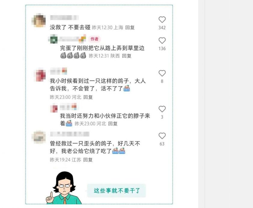 见姿势诡异鸟别触摸施救 小心被感染流感