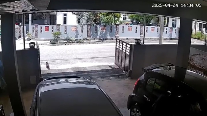 视频|回家下车前先警惕!陌生男闯车房讨钱吓坏女子