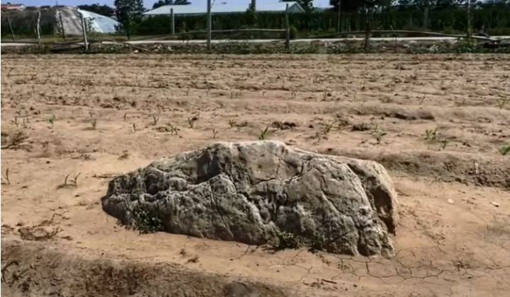 视频|山顶高度仅60cm 世上最矮山峰在这里！