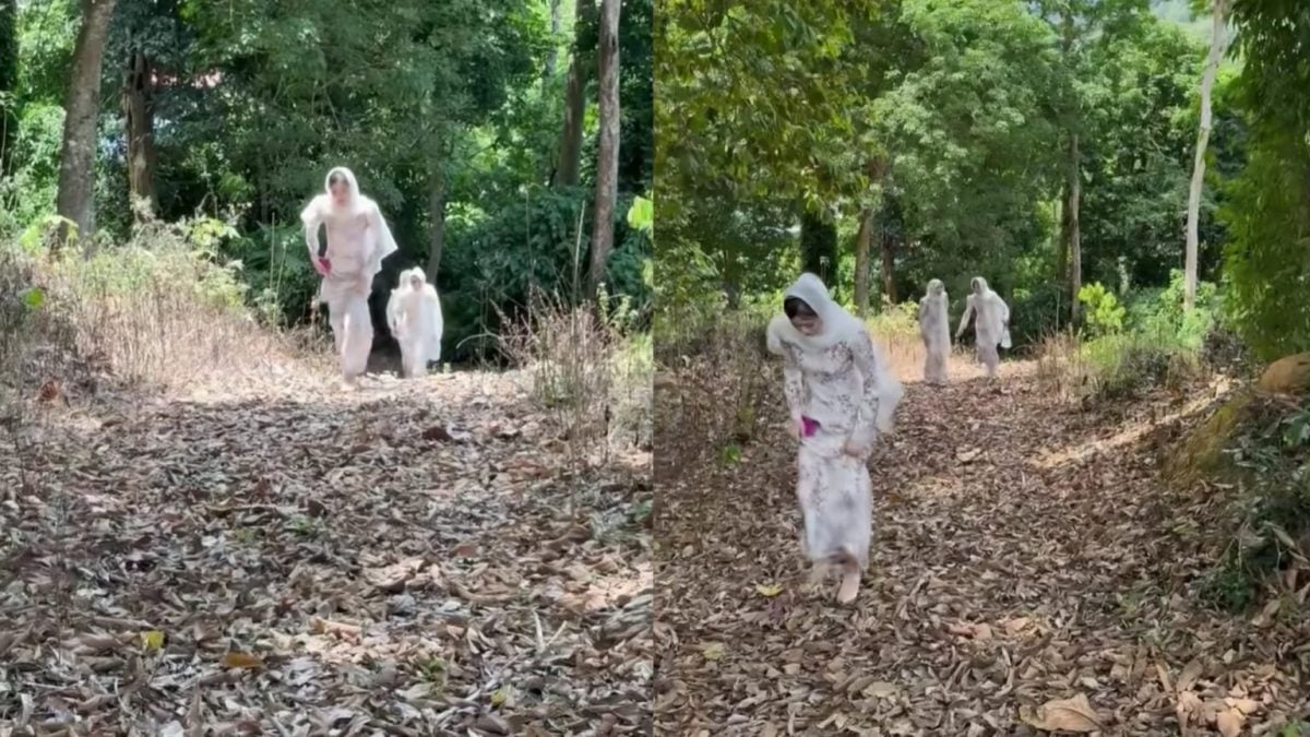 视频|林中惊现白衣美女成群？ 网友调侃：还以为撞鬼！