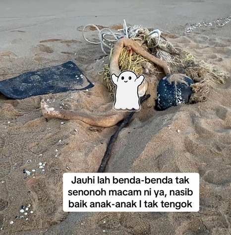 视频|沙滩惊见“断脚”吓坏一家人 警察一拉全场傻眼