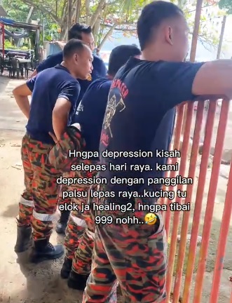 视频|消拯员接求救电话白忙一场 “它坐树上吹风不是受困”