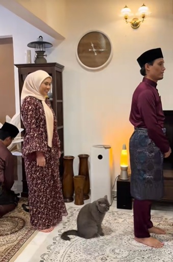 视频|混在饲主家人队伍中 蓝猫排队求宽恕 萌翻全网!