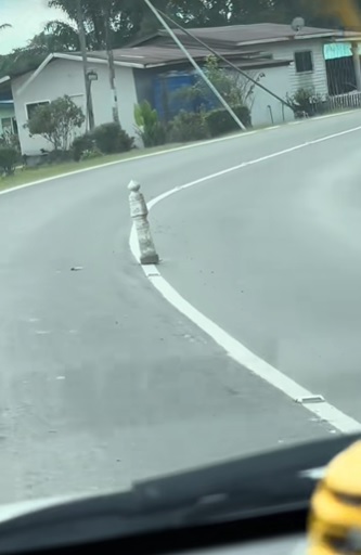 视频|过弯惊见路中摆墓碑 女司机吓醒立马减速