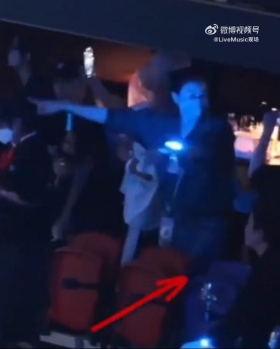 谢霆锋冧唱订情曲《玉蝴蝶》 王菲陶醉闻歌起舞