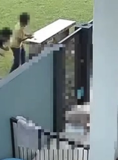 闯民宅丢小猫给狗咬死 监控拍下3熊孩子恶行