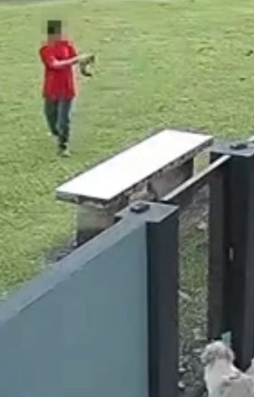 闯民宅丢小猫给狗咬死 监控拍下3熊孩子恶行