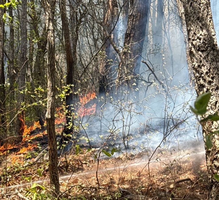 韩东北部野火直逼休息站 高速公路双向封闭 居民急撤