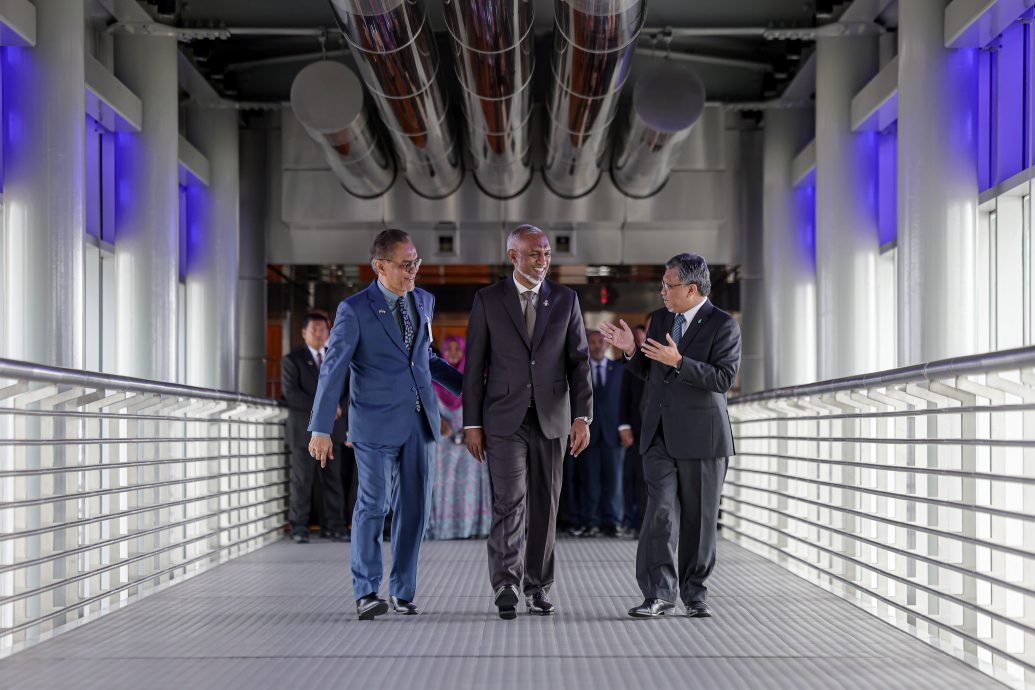 马尔代夫总统参观双峰塔