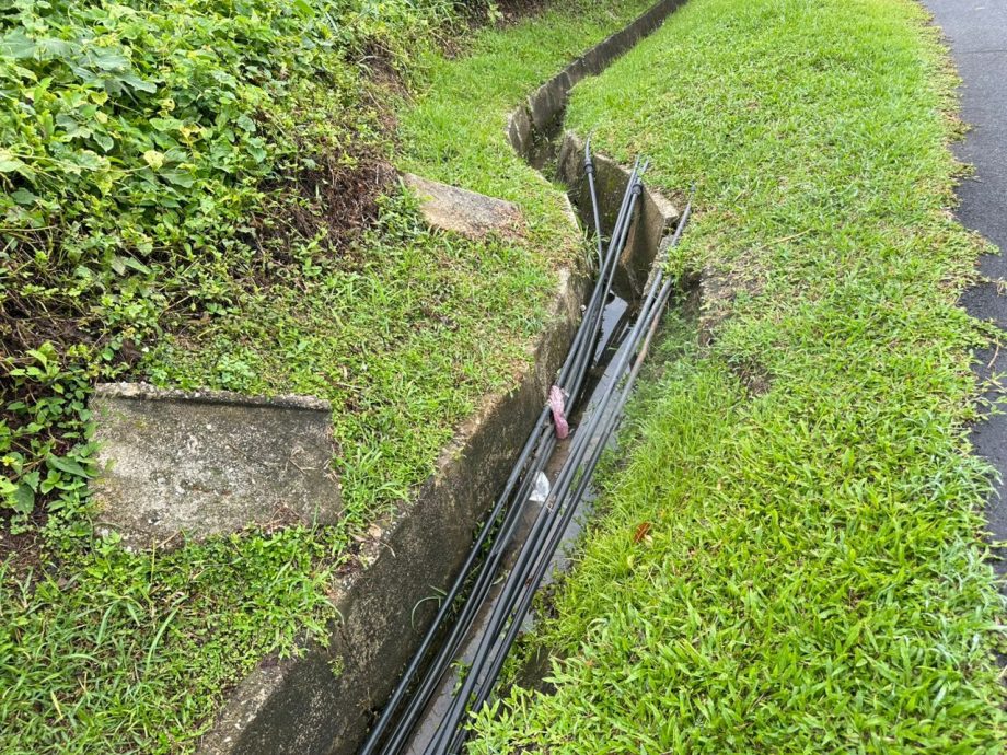 （古城第六版主文）德瓦迪森花园部分路面下陷 邓永森将反映市议会修复