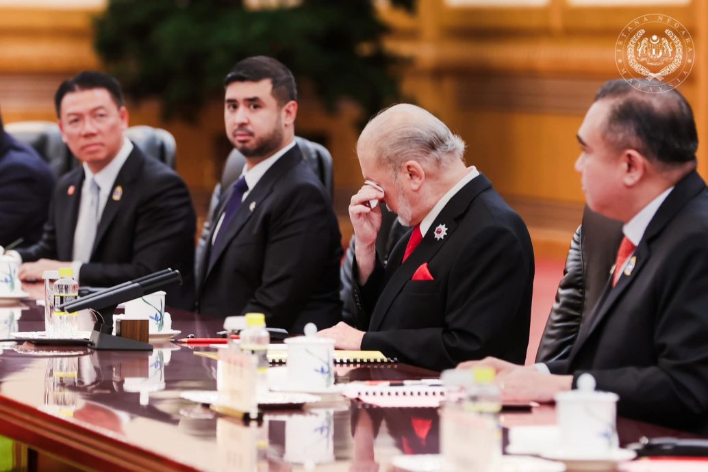 习访马特辑/配文14/元首+爱妻