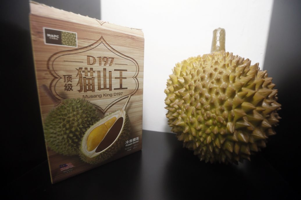 习访马特辑/榴梿外交（3）：陈踺