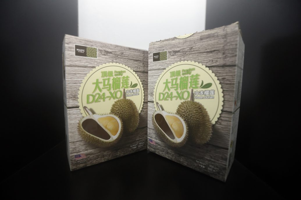 习访马特辑/榴梿外交（3）：陈踺