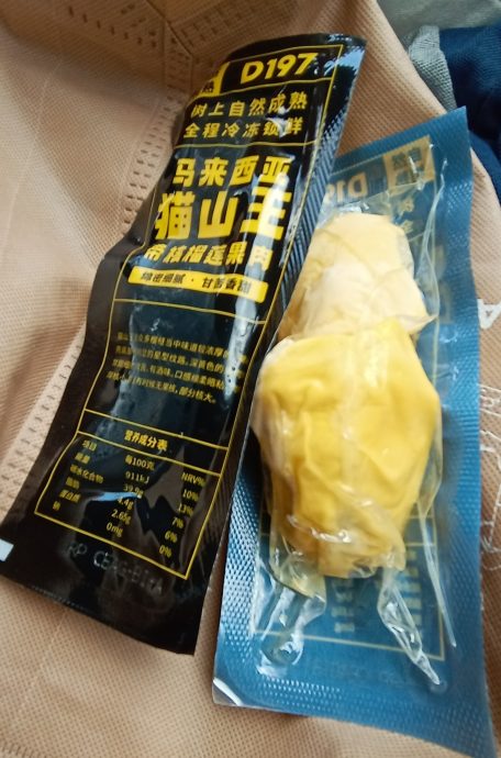 习访马特辑/榴梿外交（3）：陈踺