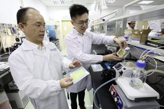 fkhc250213w54-FZ100262571365