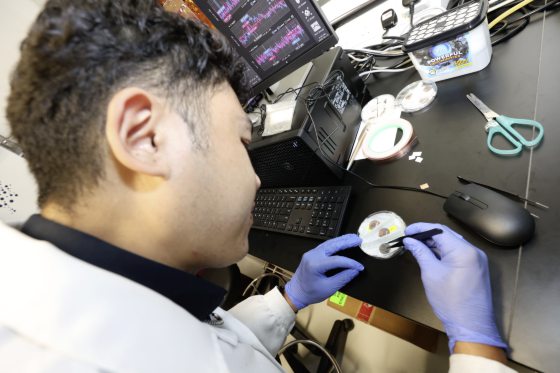 fkhc250213w70-FZ100262571334