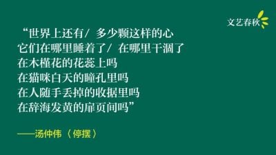 汤仲伟/诗两首