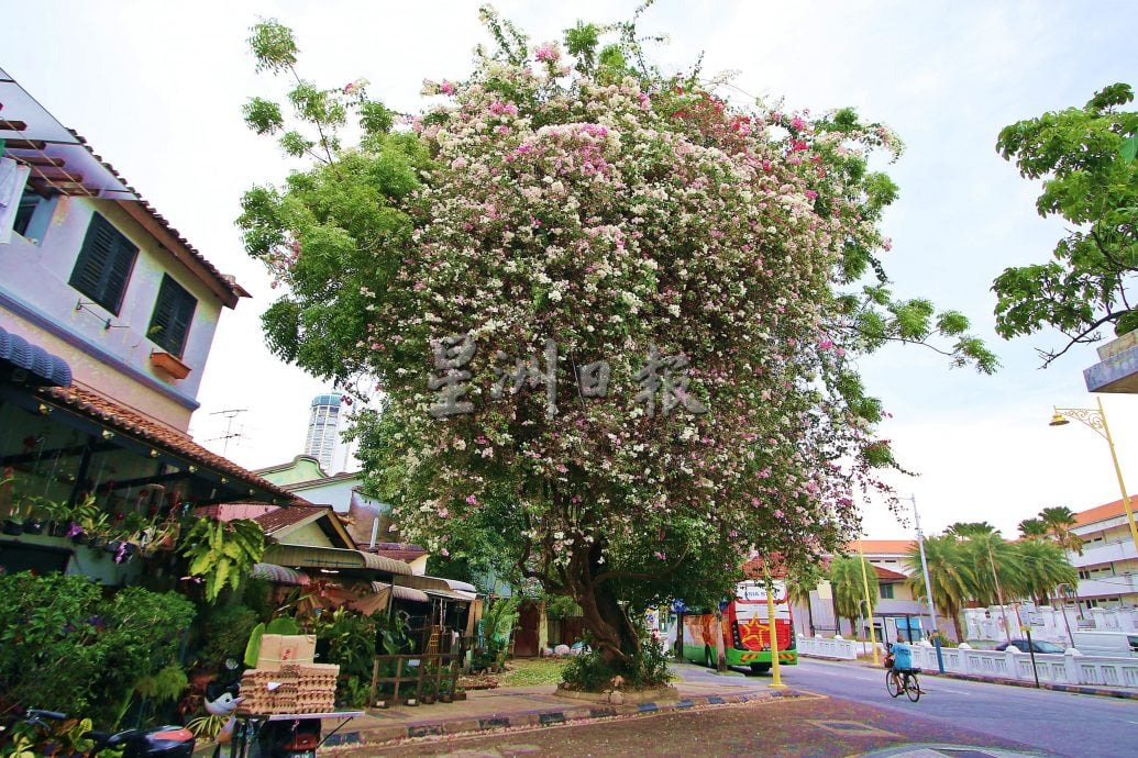  星角摄／春暖花开