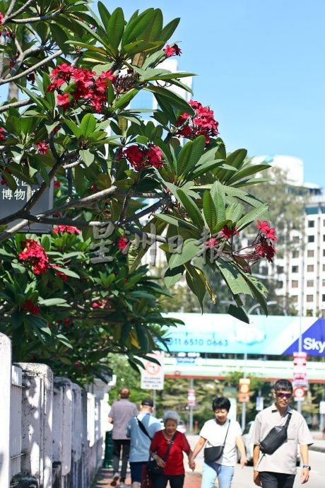 星角摄／春暖花开