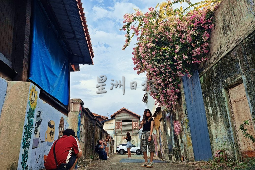 星角摄／春暖花开