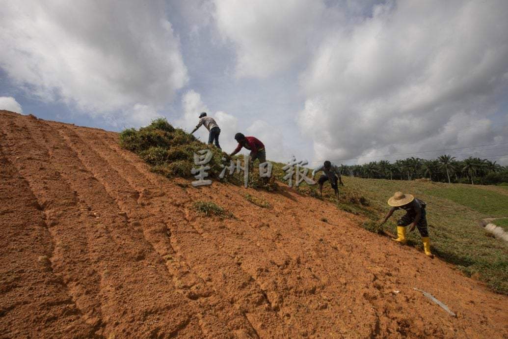 星角摄：用汗水筑起防土崩“绿墙”