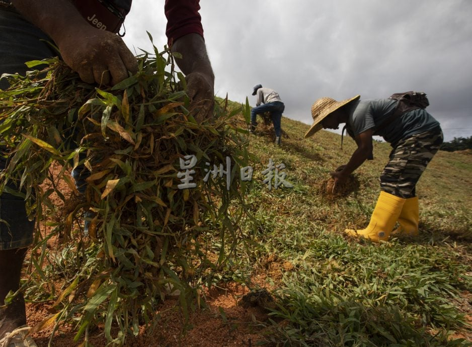 星角摄：用汗水筑起防土崩“绿墙”