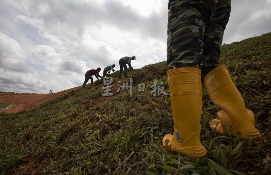 星角摄：用汗水筑起防土崩“绿墙”