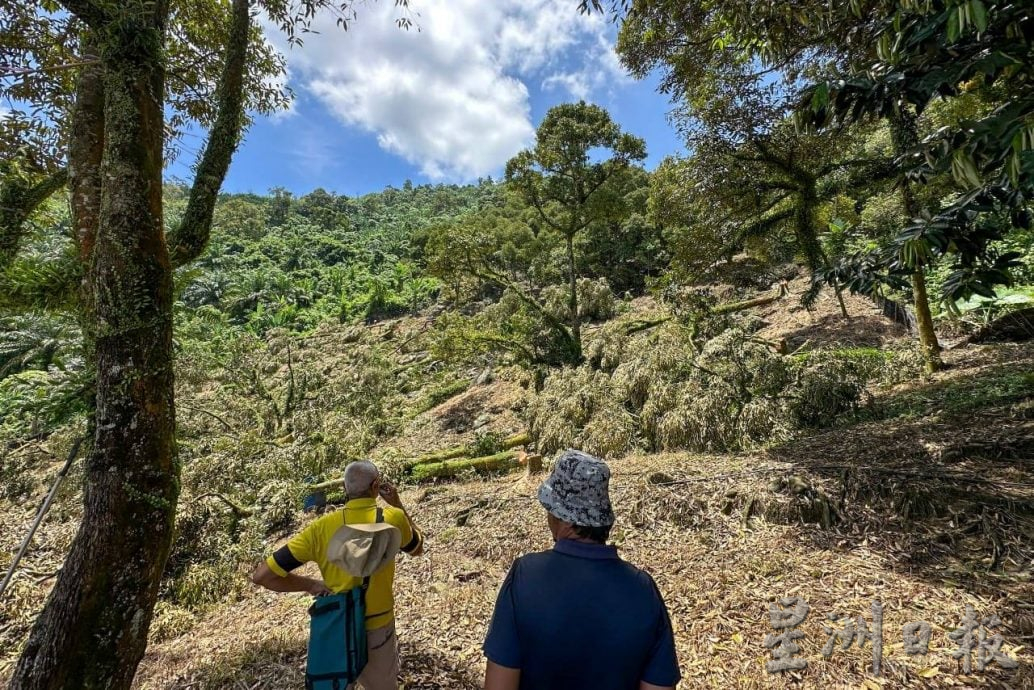 全国:劳勿巫统促邹宇晖放下身段,与彭大臣坐下来谈判