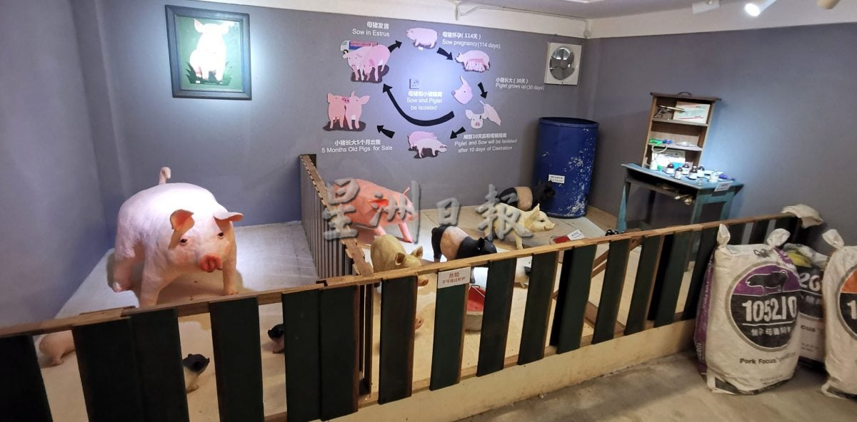 星角摄/双溪立百历史文化馆