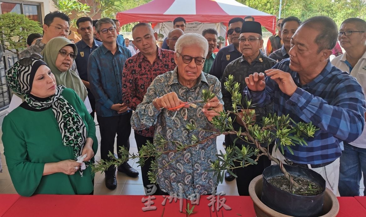 (大北马)体育馆旁打造O Tree 园艺中心,要大山脚成槟园艺地标