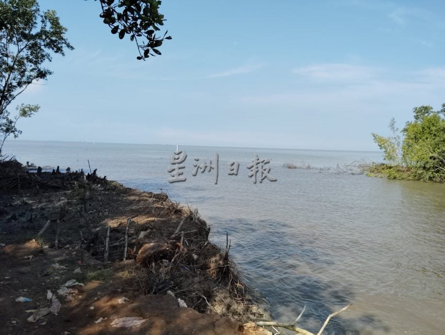 半岛心旅行:巴力卡欣红树林公园 探索自然生态的魅力