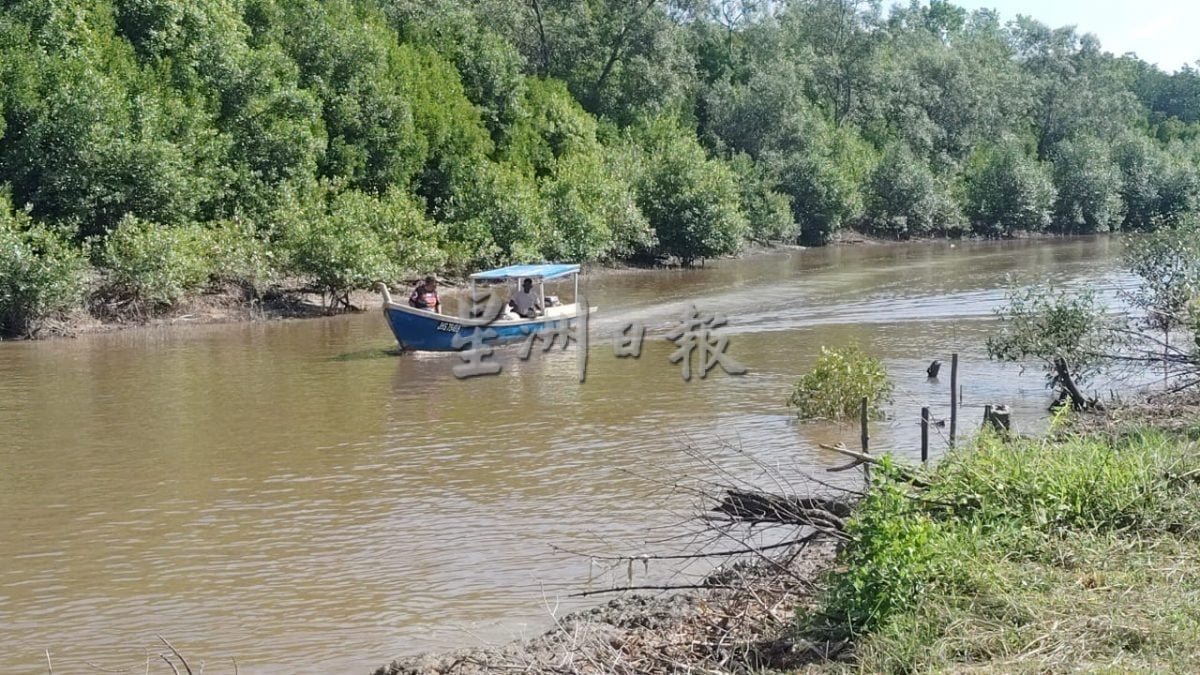 半岛心旅行:巴力卡欣红树林公园 探索自然生态的魅力