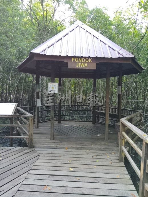 半岛心旅行:巴力卡欣红树林公园 探索自然生态的魅力