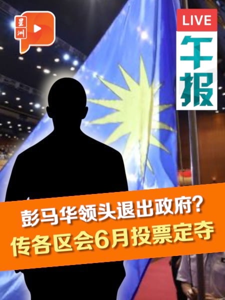 党内消息：彭马华议决 拟6月全国区会投票定夺是否退政
