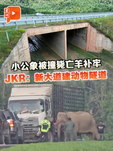 JKR：让动物安全到森林 新大道建动物隧道