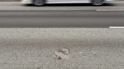 华妇被抛大道身亡  女死者鲜少回宁罗家乡