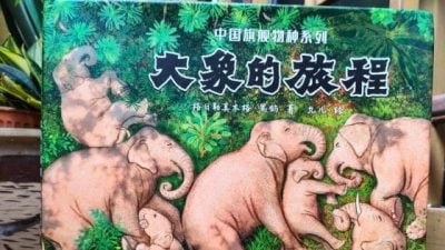 许雪翠｜大象也会踏上旅程？用绘本培养孩子保护动物之心