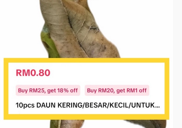 10片干树叶卖80仙? 已卖出64包网民傻眼