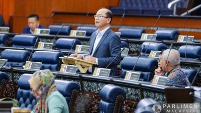 马迪乌斯：应对美国关税  联邦应加强与州政府磋商