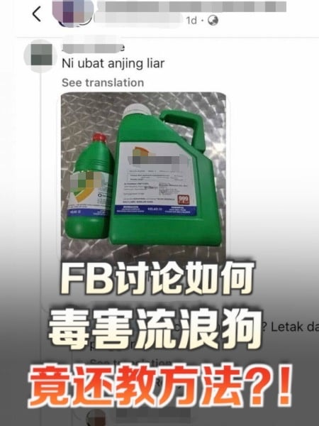 FB讨论如何毒害流浪狗 竟还教导方法？！