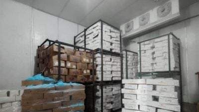 砂水警查货仓捕1男 . 破获值622万走私冻肉