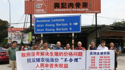 Live pig in Malaysia most expensive in the world, says Selangor Butchers Association