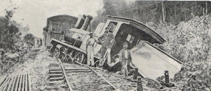1894小象被撞死